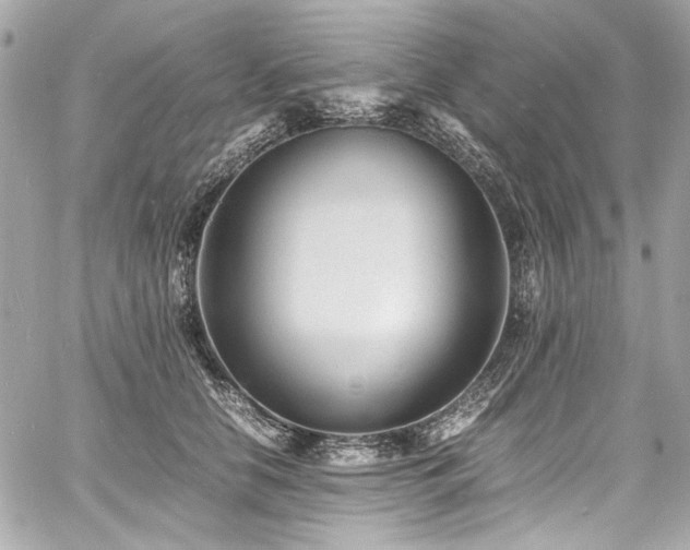 X0000060750658200511101117