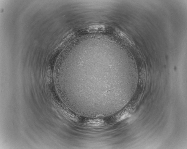 X0000060750659200511101117