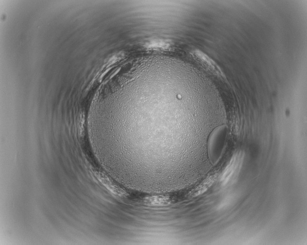 X0000060750660200511101117