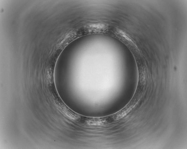 X0000060750661200511101117