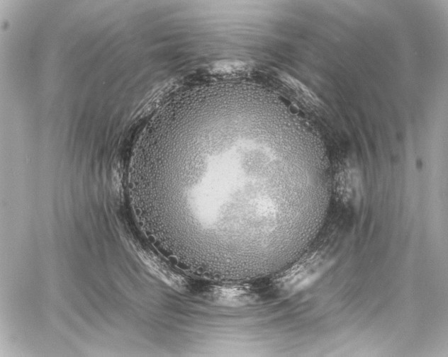 X0000060750662200511101117