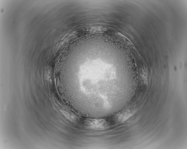 X0000060750663200511101117