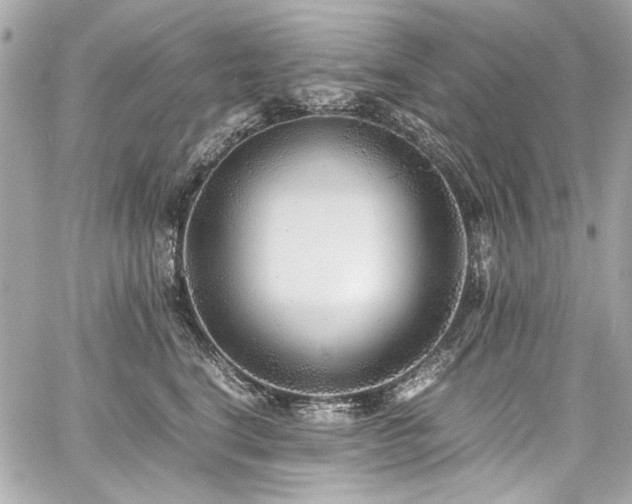 X0000060750664200511101117