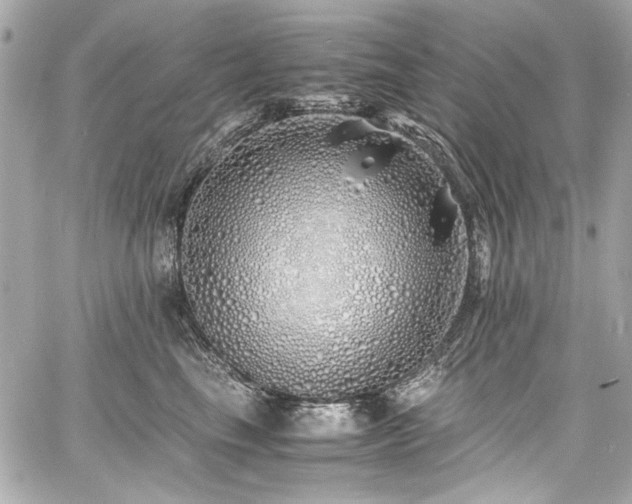 X0000060750665200511101117