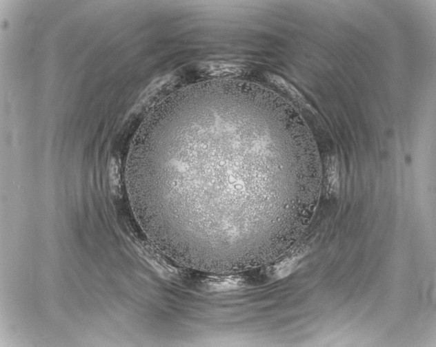 X0000060750667200511101117