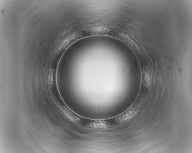 X0000060750668200511101117