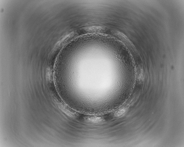 X0000060750669200511101117