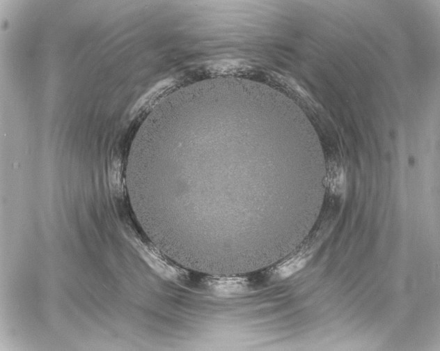 X0000060750670200511101117