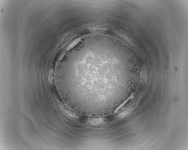 X0000060750671200511101117