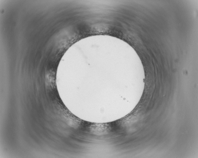 X0000060750672200511101117