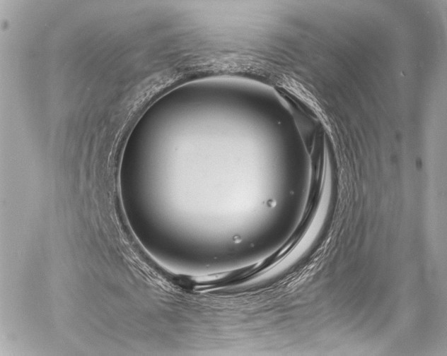 X0000060750673200511101116