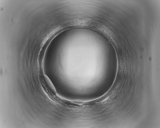 X0000060750674200511101116