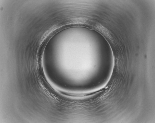 X0000060750676200511101116