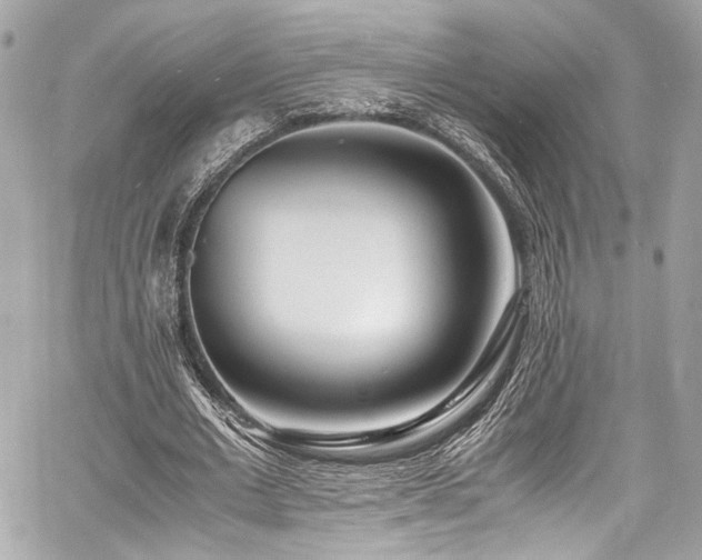 X0000060750677200511101116