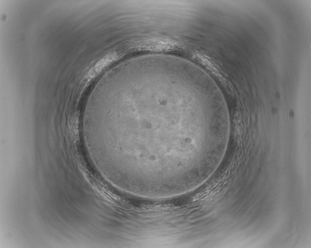 X0000060750679200511101116