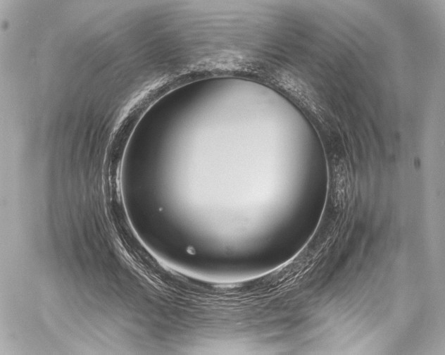 X0000060750680200511101116