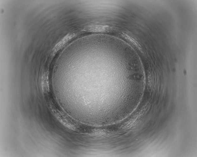 X0000060750682200511101116