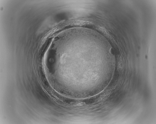 X0000060750683200511101116