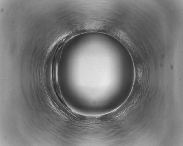 X0000060750684200511101116