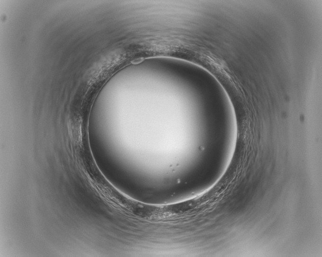 X0000060750685200511101116