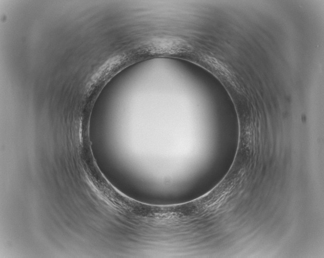 X0000060750686200511101116