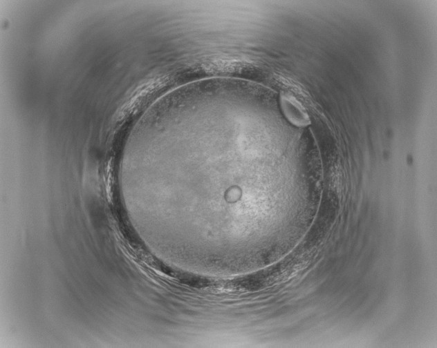 X0000060750687200511101116