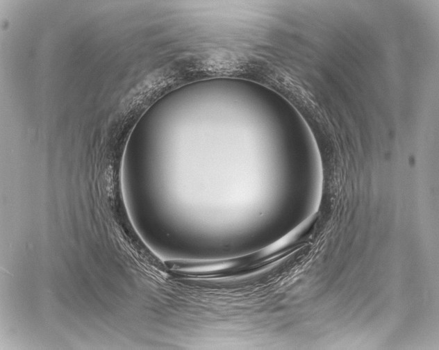 X0000060750689200511101116