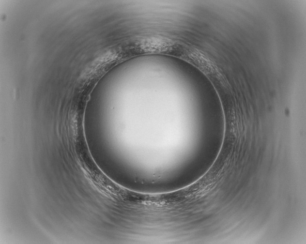 X0000060750690200511101116