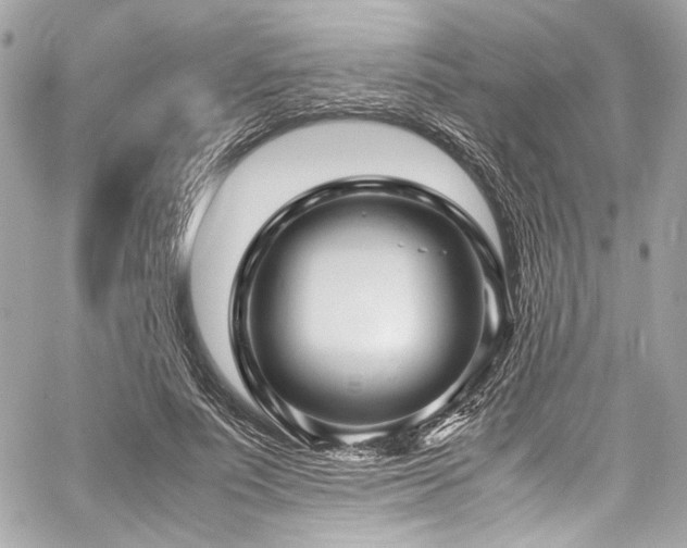 X0000060750691200511101116