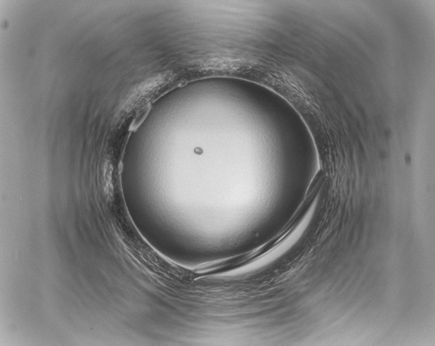 X0000060750692200511101116