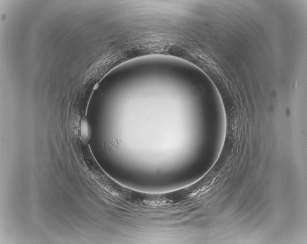 X0000060750693200511101116