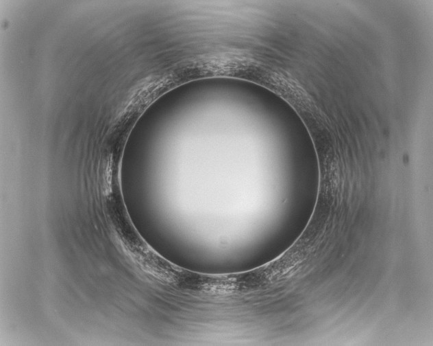 X0000060750694200511101116