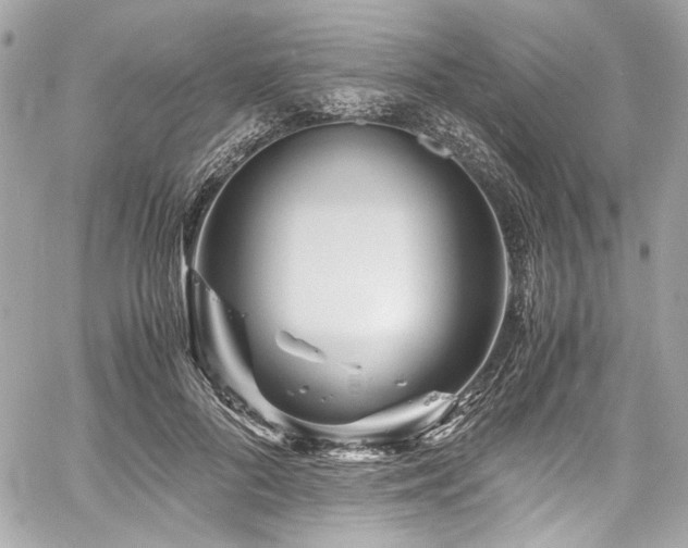 X0000060750696200511101116