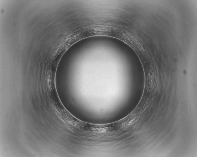 X0000060750698200511101116