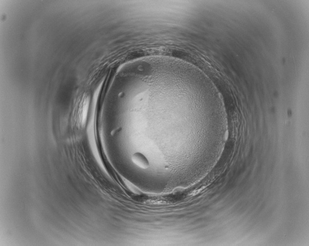 X0000060750699200511101116