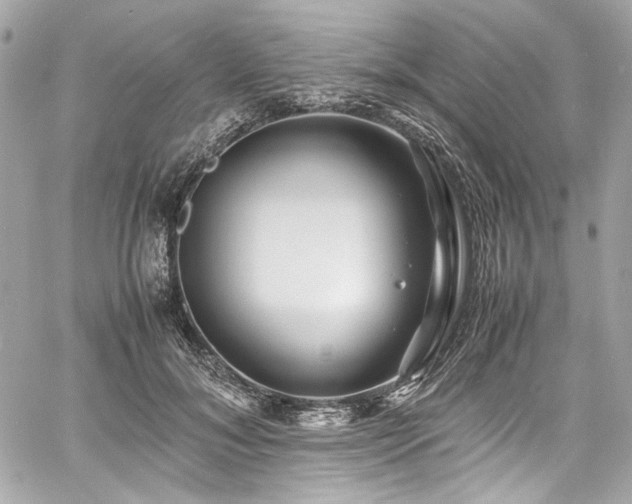 X0000060750700200511101116