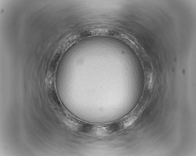 X0000060750701200511101116