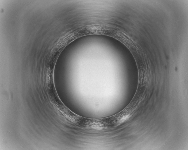 X0000060750702200511101116