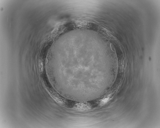 X0000060750703200511101116