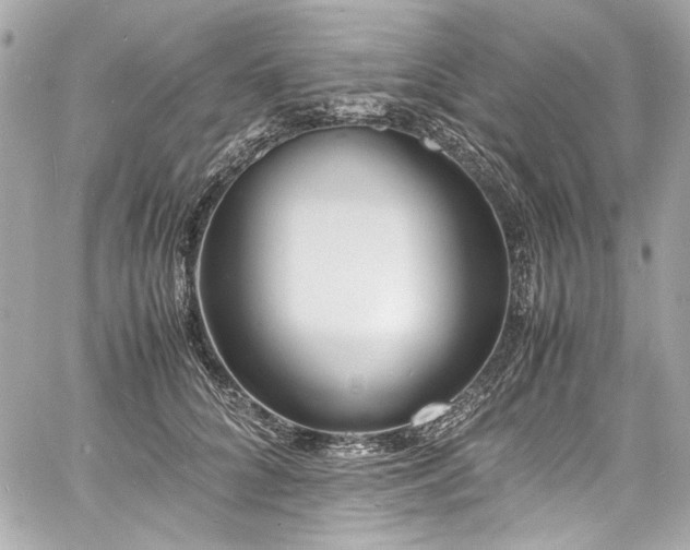 X0000060750704200511101116