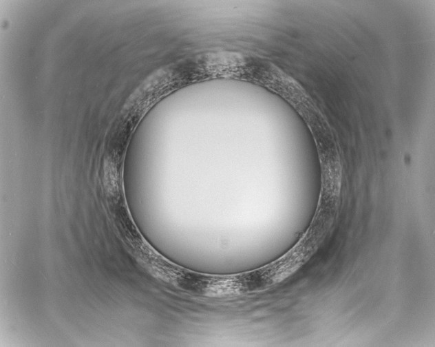 X0000060750705200511101116