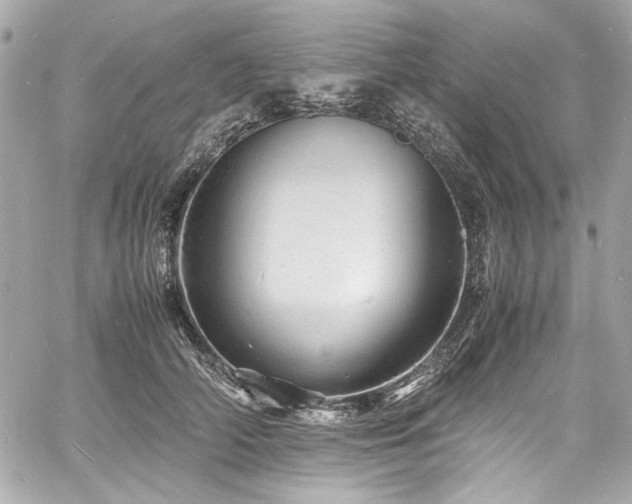 X0000060750706200511101116