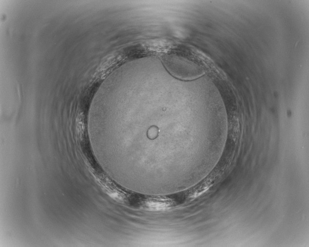 X0000060750707200511101116