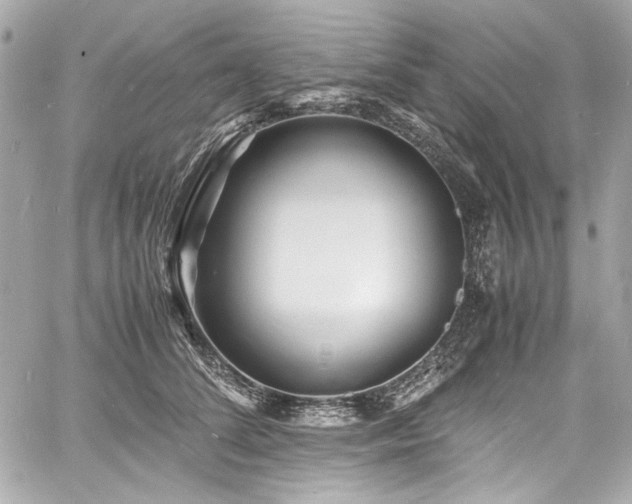 X0000060750708200511101116