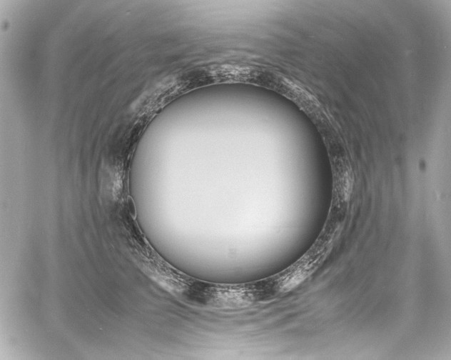 X0000060750709200511101116