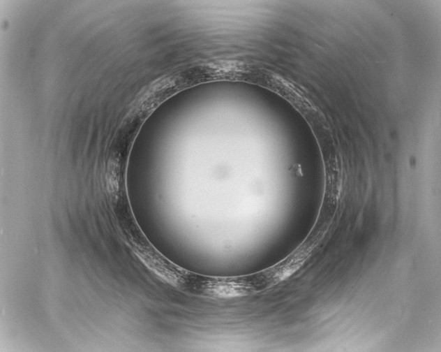 X0000060750710200511101116