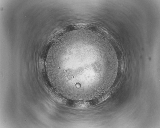 X0000060750711200511101116