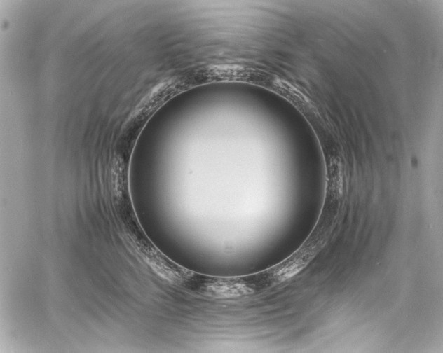 X0000060750712200511101116