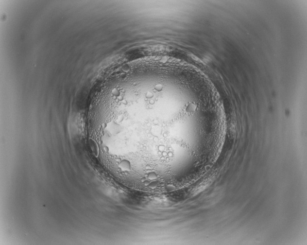 X0000060750715200511101116