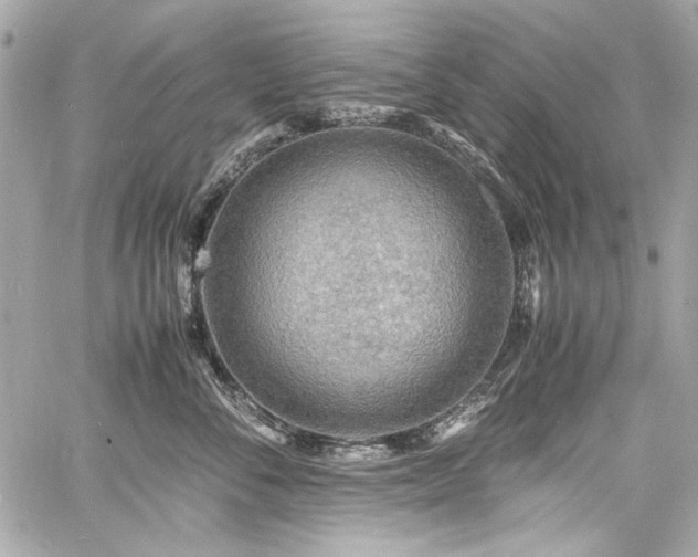 X0000060750716200511101115